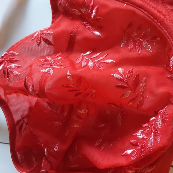 Panache Tango Red Bra 30k - Picture 4 of 6